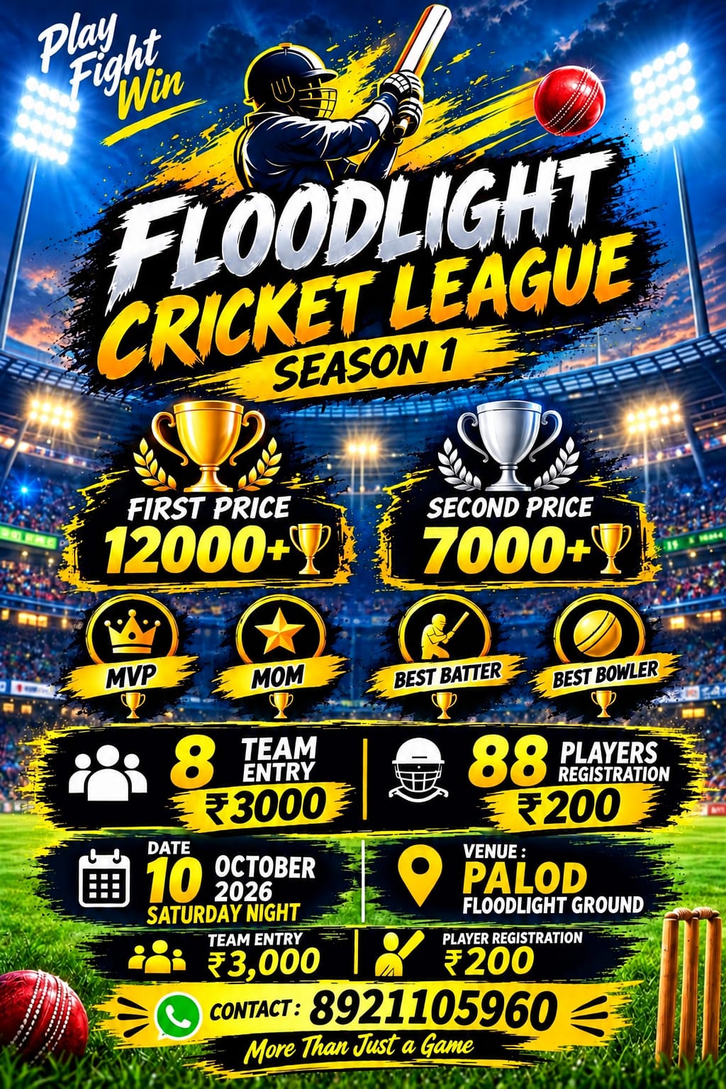 PALODE CRICKET LEAGUE poster